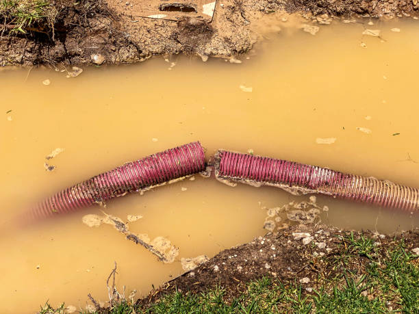 Best Basement water damage restoration  in Center Point, TX